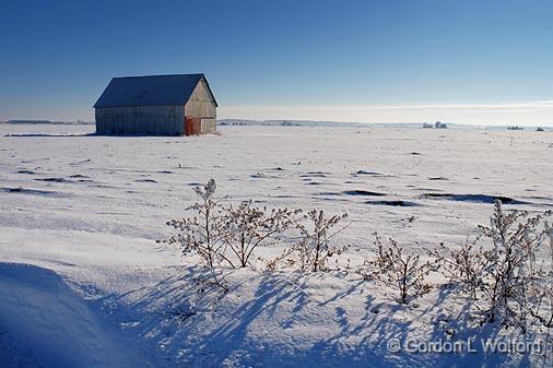 Out Standing In Its Field_52712.jpg - Photographed east of Ottawa, Ontario - the capital of Canada.